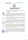 Vista preliminar de documento rd80