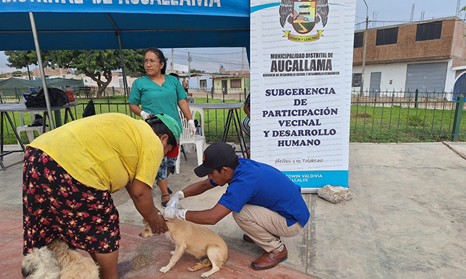 Vecinos de San Juan de Dios participaron en la campaña de desparasitación canina.