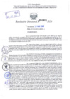 Vista preliminar de documento Resolución Directoral. N° 0893 - 2024