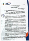 Vista preliminar de documento AC-015-2024