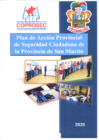 Vista preliminar de documento Plan de Acción Provincial de Seguridad Ciudadana 2020