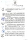 Vista preliminar de documento rd99