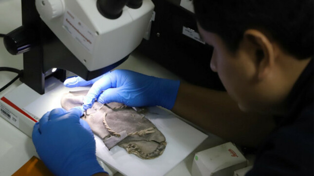 Foto de los trabajos realizando por personal del CITEccal Trujillo