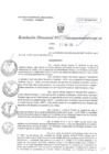 Vista preliminar de documento RD N°0045