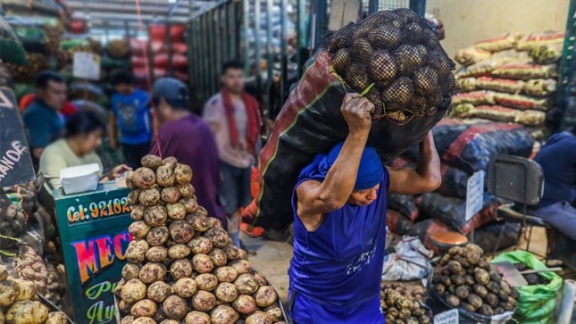 •	El abastecimiento de productos superó las 10 mil toneladas de productos 