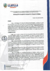 Vista preliminar de documento RGM-045-2024