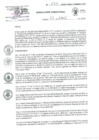 Vista preliminar de documento RD 166-2024 GRC/DIRESA/DG