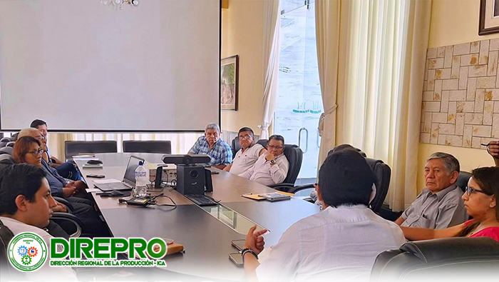 Reunión de Propuesta de Límite Interdepartamental Ica - Arequipa