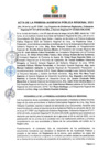 Vista preliminar de documento Acta de la Primera Audiencia Publica Regional 2023