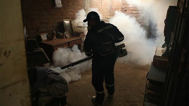 Fumigatón: en Tumbes más de 300 brigadas intervienen casa por casa para eliminar zancudo transmisor del dengue