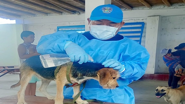 Municipalidad de Huaral promueve la salud canina en en los centros poblados