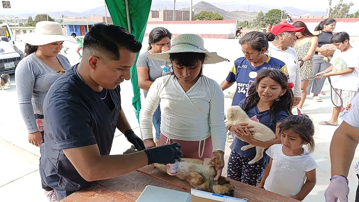 Municipalidad de Huaral promueve la salud canina en en los centros poblados