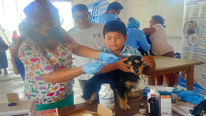 Municipalidad de Huaral promueve la salud canina en en los centros poblados