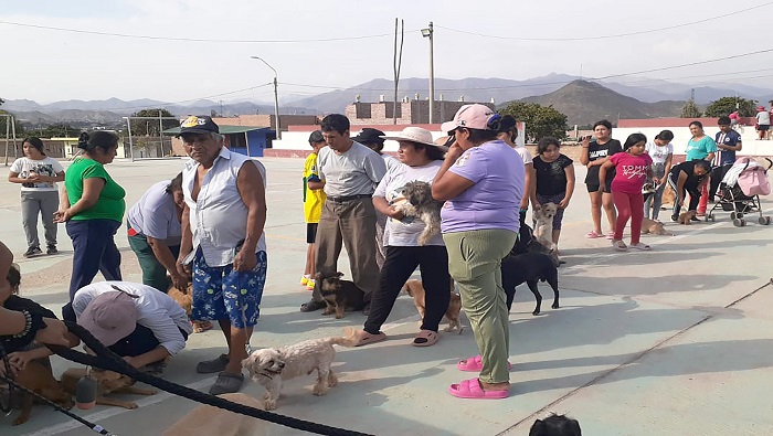 Municipalidad de Huaral promueve la salud canina en en los centros poblados
