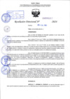 Vista preliminar de documento R.D 0312-2024