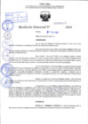 Vista preliminar de documento R.D 0313-2024