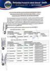 Vista preliminar de documento Resultados del Proceso CAS