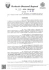 Vista preliminar de documento RDR Nº 1036-2024-GRSM-DRE