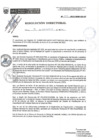 Vista preliminar de documento R.D.N.303-2022-INSN-DG