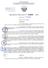 Vista preliminar de documento Resolución Directoral. N° 0993 - 2024 