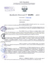 Vista preliminar de documento Resolución Directoral. N° 1001 - 2024 