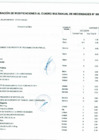 Vista preliminar de documento Cuadro Multianual de Necesidades N°00000024
