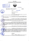 Vista preliminar de documento R.D 0343-2024