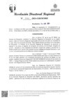 Vista preliminar de documento RDR Nº 1044-2024-GRSM-DRE