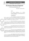 Vista preliminar de documento RDR 110-2024