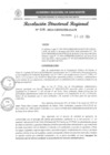 Vista preliminar de documento RDR 119-2024
