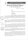 Vista preliminar de documento RDR 120-2024