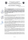 Vista preliminar de documento Resolución Gerencial N° 109-2024