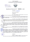 Vista preliminar de documento Resolución Directoral. N° 1014 - 2024 