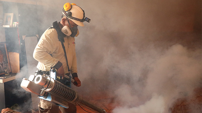 Lima norte: la Fumigatón contra el dengue interviene más de 1000 viviendas en Independencia