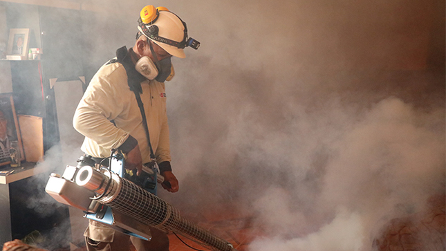 Lima norte: la Fumigatón contra el dengue interviene más de 1000 viviendas en Independencia 