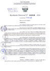 Vista preliminar de documento Resolución Directoral. N° 1019 - 2024 
