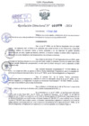 Vista preliminar de documento Resolución Directoral. N° 1078 - 2024