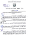 Vista preliminar de documento Resolución Directoral. N° 1083 - 2024 