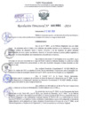Vista preliminar de documento Resolución Directoral. N° 1084 - 2024 