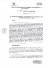 Vista preliminar de documento RESOLUCION GERENCIAL REGIONAL DE DESARROLLO ECONOMICO     13