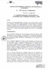 Vista preliminar de documento RESOLUCION GERENCIAL REGIONAL DE DESARROLLO ECONOMICO     20