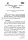 Vista preliminar de documento RESOLUCION GERENCIAL REGIONAL DE DESARROLLO ECONOMICO     27