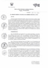Vista preliminar de documento RESOLUCION GERENCIAL GENERAL REGIONAL    29