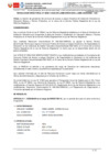 Vista preliminar de documento 911