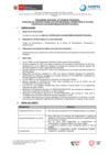 Vista preliminar de documento BASES 014-2024