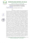 Vista preliminar de documento RESOLUCION N°118-2024