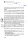 Vista preliminar de documento RG. 000210-2024-GSATDE