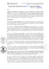 Vista preliminar de documento RG. 000211-2024-GSATDE