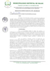 Vista preliminar de documento RESOLUCION N°133-2024