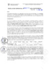 Vista preliminar de documento RG. 000219-2024-GSATDE